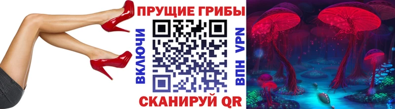 Псилоцибиновые грибы прущие грибы kraken как войти Заозёрный